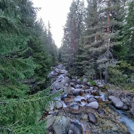 Royal Towers 200m From Skilift בנסקו