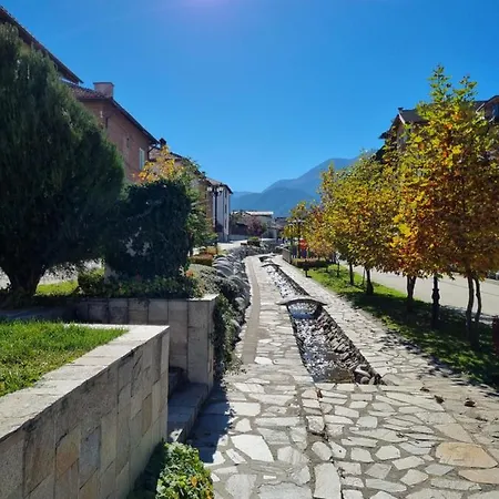 Royal Towers 200m From Skilift דירה בנסקו