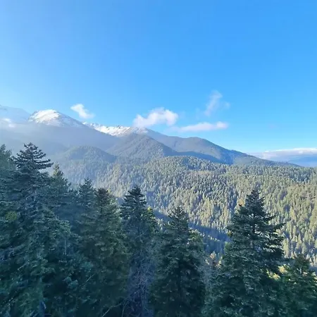 Royal Towers 200m From Skilift Apartment Bansko